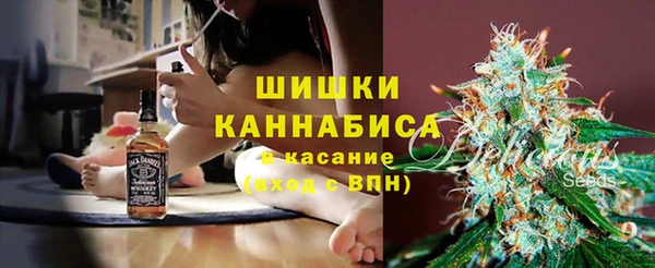 сатива Волосово