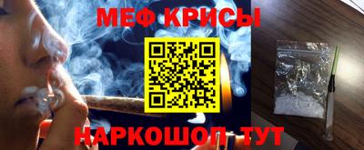стаф Гай