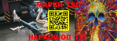 индика Беслан