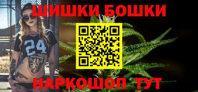 стаф Гай