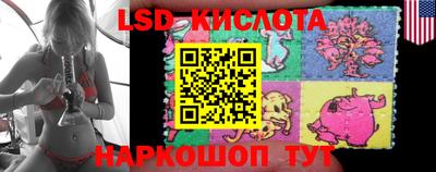 стаф Гай