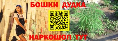 индика Беслан