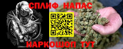 твердый Бийск