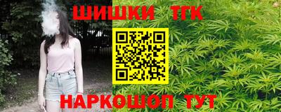 стаф Гай