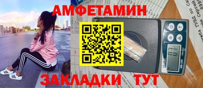стаф Гай