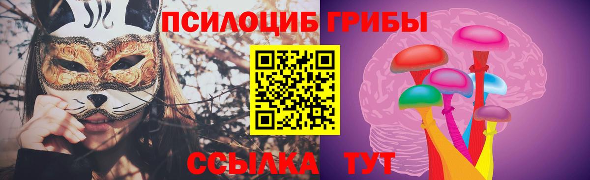 Галлюциногенные грибы Psilocybe  Псилоцибиновые грибы прущие грибы  Вход с VPN  Зерноград 