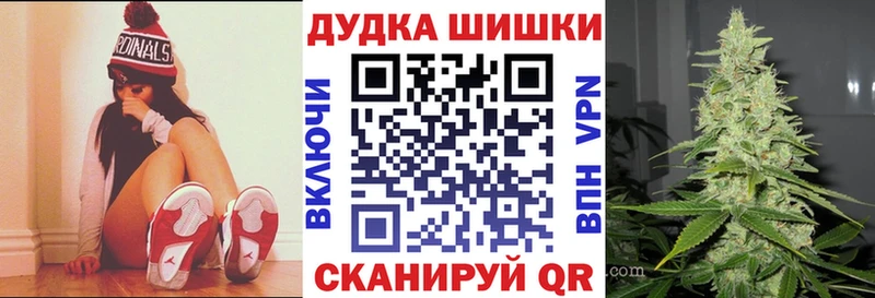 Канабис сатива Зерноград