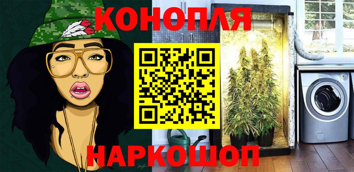 Бошки Шишки планчик  Марихуана SATIVA & INDICA  Зерноград  Каннабис конопля  Марихуана Bruce Banner 